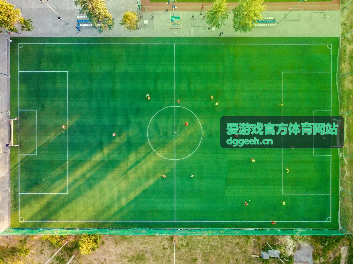 爱游戏官方体育网站技巧训练类游戏项目示意图